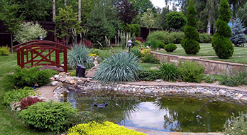 Благоустройство территории