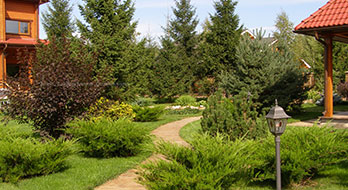 Дизайн дачного участка