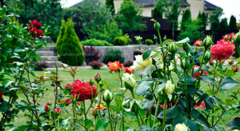 Дизайн дачного участка