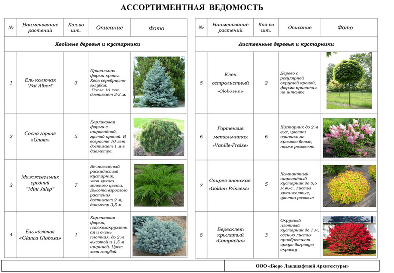 Ассортиментная ведомость растений